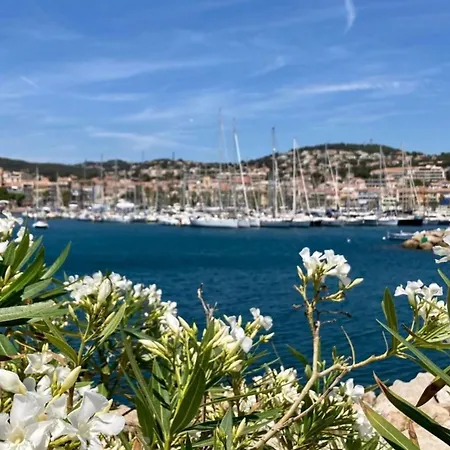 Bed & Breakfast D'hote Centre